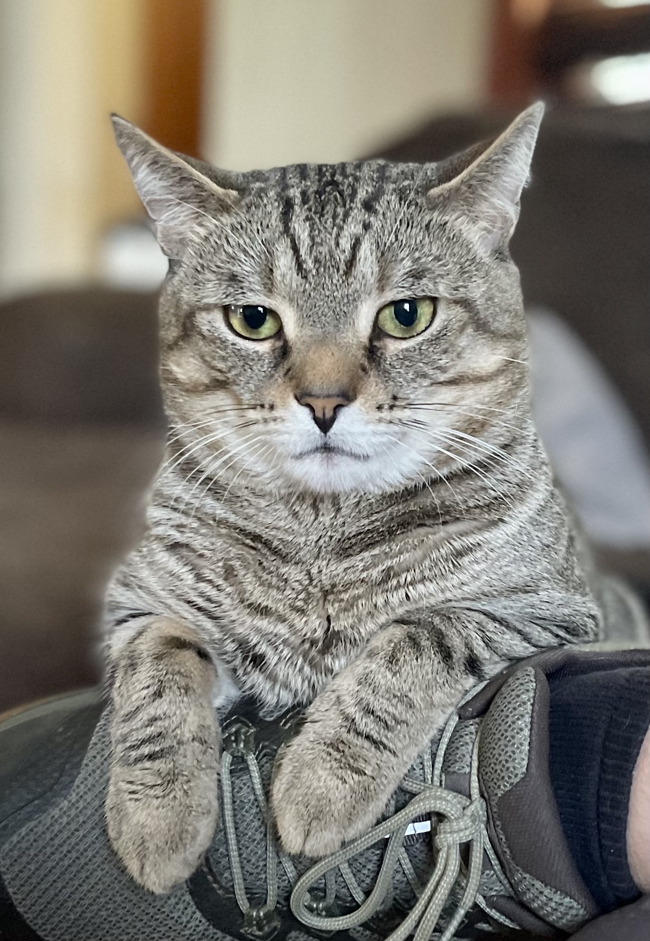 KeltyLoo's profile picture